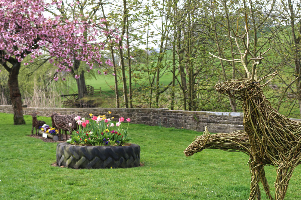 Spring display in Trawden
